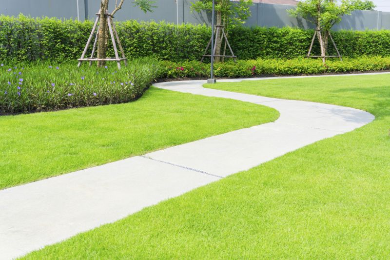 Sidewalk Enlargement in Denver, CO